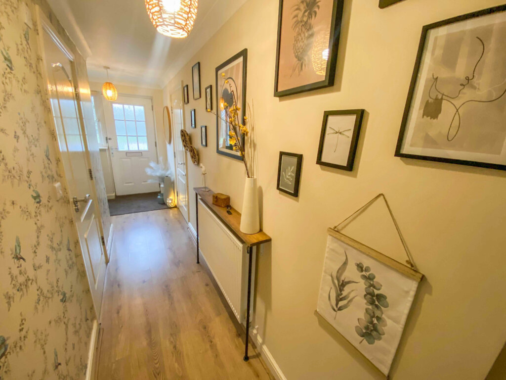 Image from iOS 2471 scaled