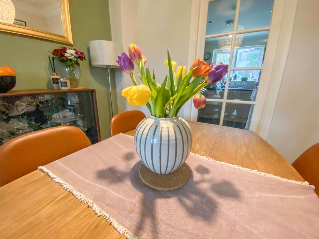 Image from iOS 2476 scaled