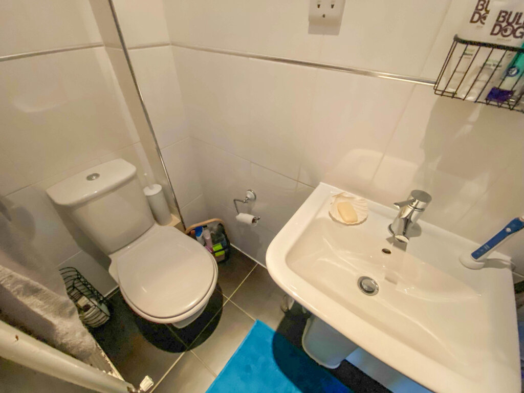 Image from iOS 2480 scaled