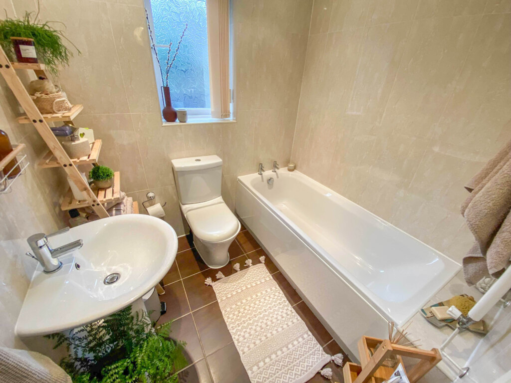 Image from iOS 2482 scaled